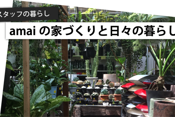 スタッフ自宅リノベ日記□DIY編-5.オススメの植物屋さん