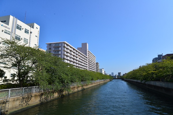 【リノベ向き物件】私の庭は木場公園。