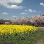 【リノベ向き物件】公園ドカン！な団地