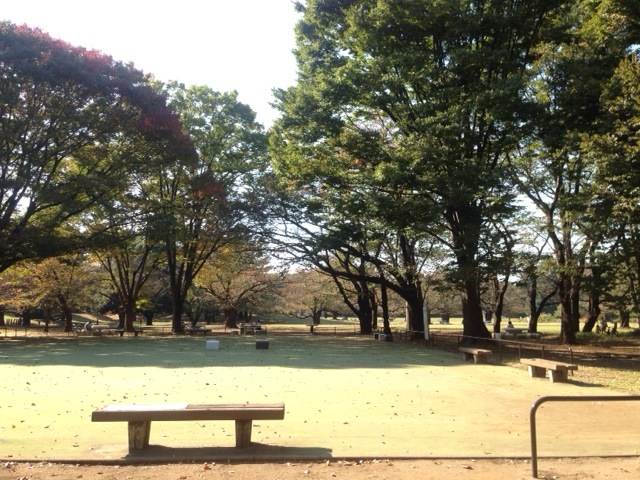 光が丘公園と光が丘団地