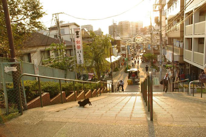 【Natsukiの♪東京いい街・知らない街♪】夕焼けが似合う、谷中の街