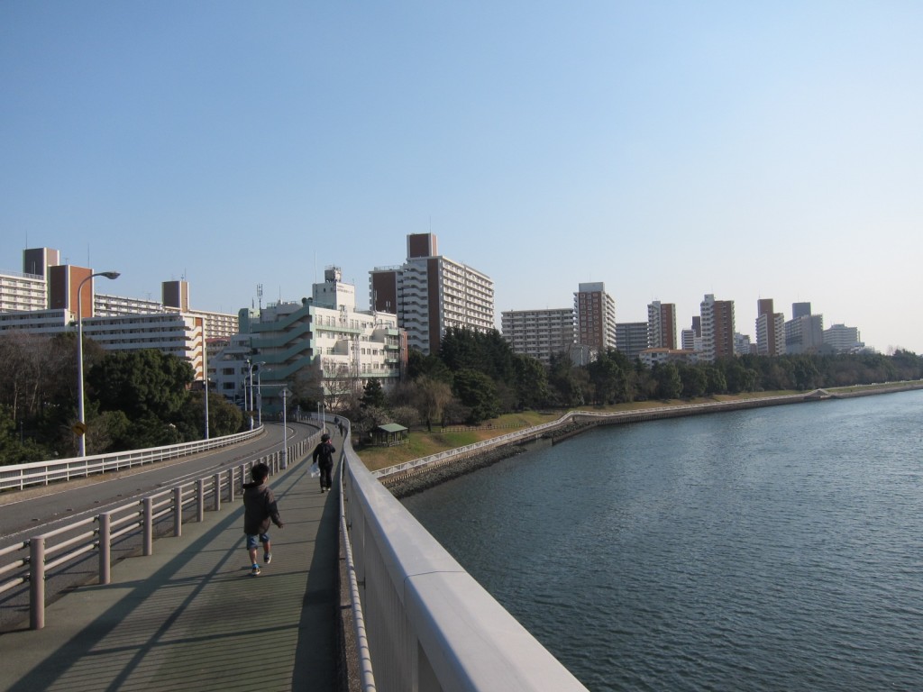 低層から高層の建物まで、表情豊かな八潮の団地。