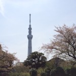 【Natsukiの♪東京いい街・知らない街♪】向島の下町に一目惚れ…