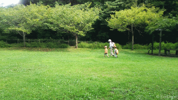 鎌倉に住まい、心地いい暮らしを手に入れる〜7.鎌倉の子育て事情〜