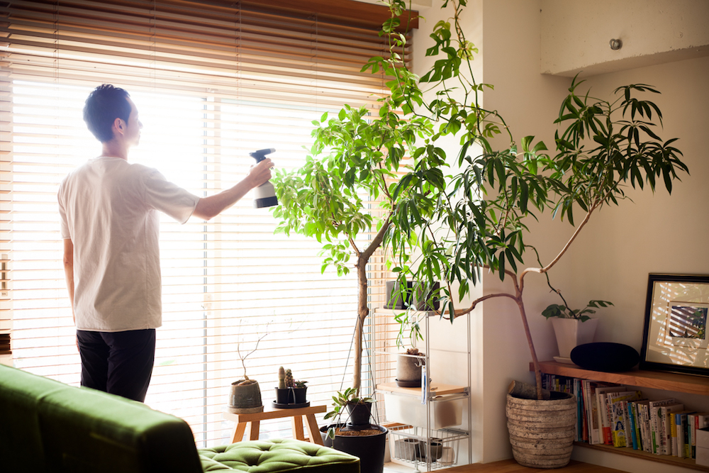 植物のお手入れ