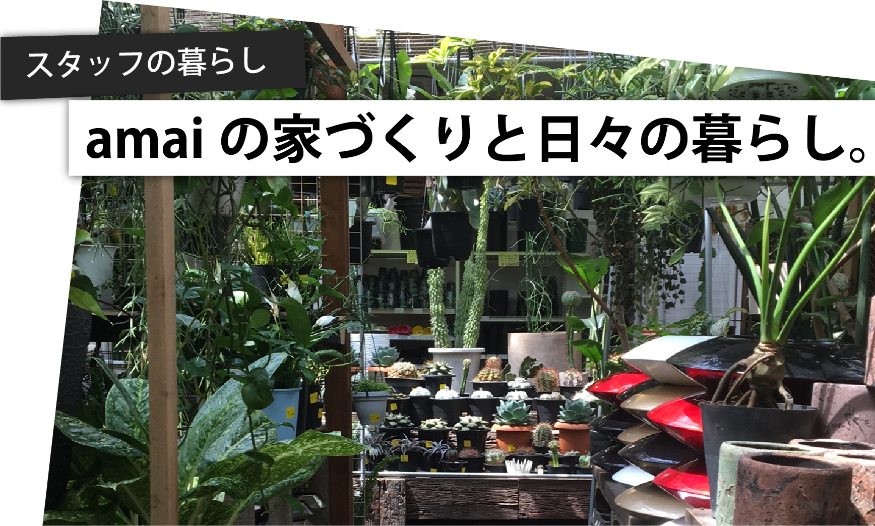 DIY編-5.オススメの植物屋さん