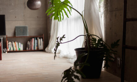 「家は、自信につながっていました」お客様が教えてくれたリノベから10年後の話