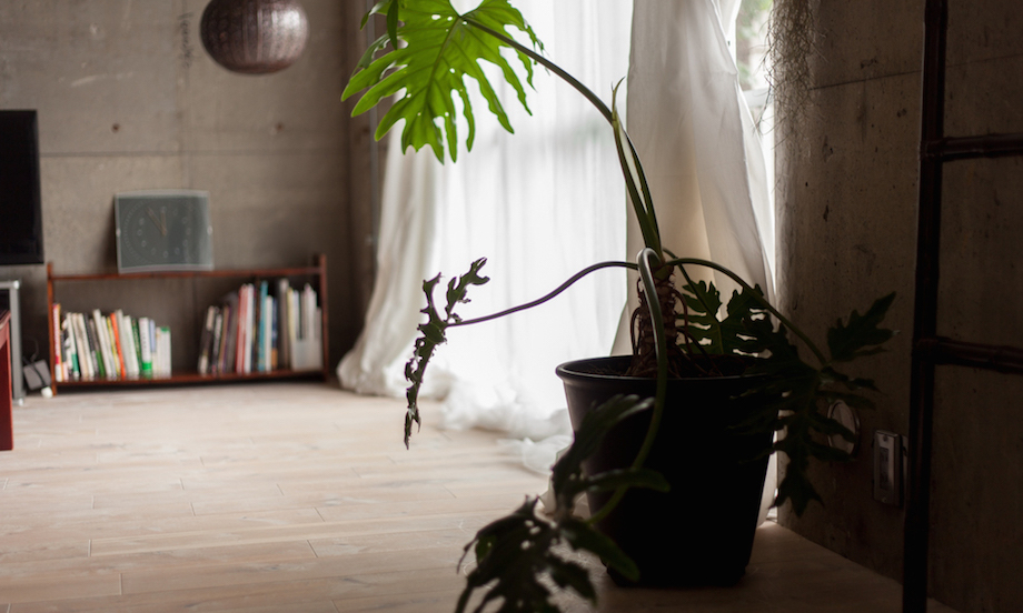 「家は、自信につながっていました」お客様が教えてくれたリノベから10年後の話