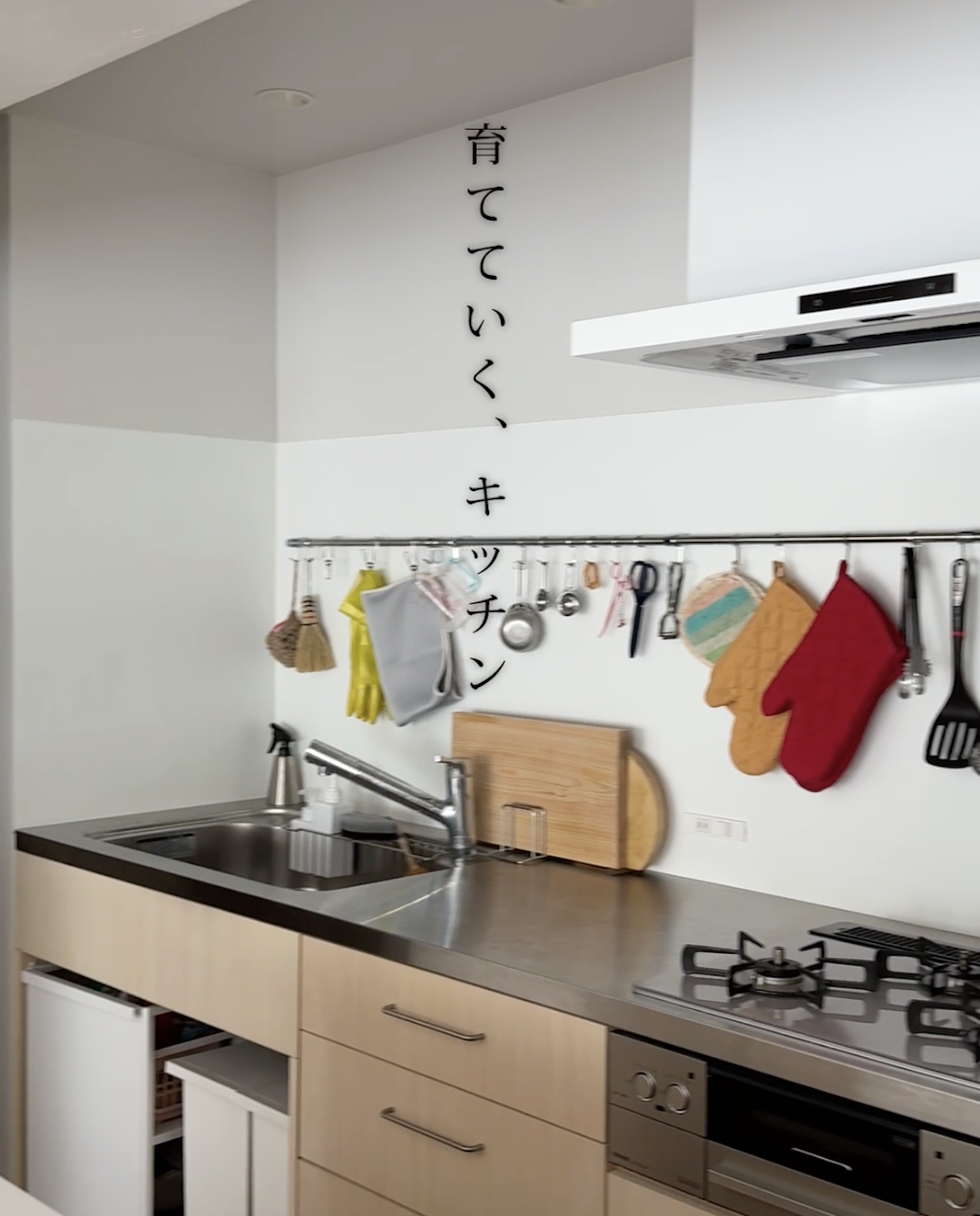 増やす豊かさ、減らす軽やかさ。 “これから”を見据えた大人のリノベ