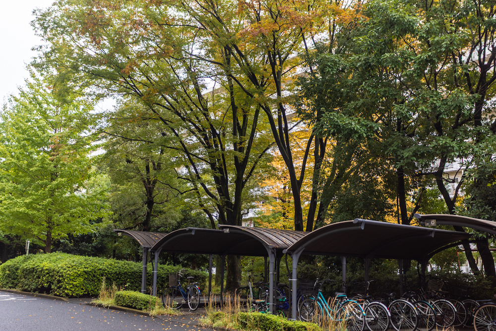 豊かな植栽に囲まれた昭島の団地外観。管理体制が良く落ち着いた住環境。